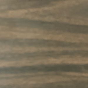 Meet your Posher, Selena